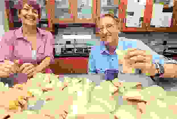 6C73BD93DDA801893302C49535002E49