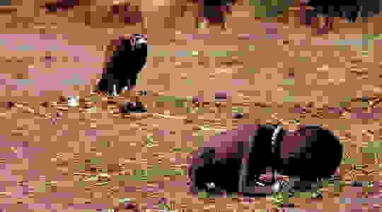9518512435568687983