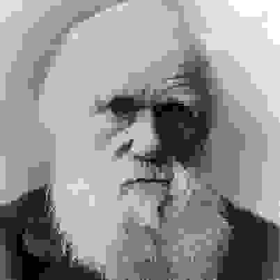Charles-Darwin