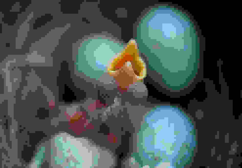 bp2