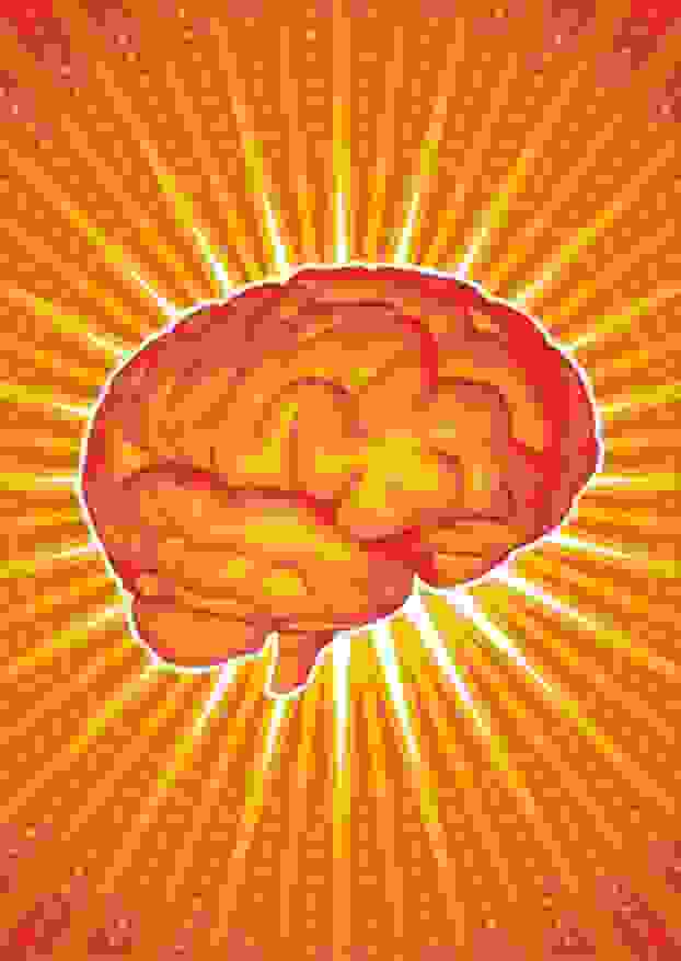 brain
