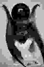 eros thanatos2