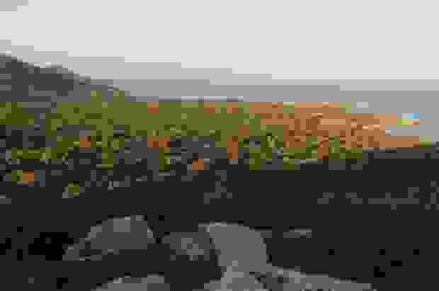 gaydos-3-620x411