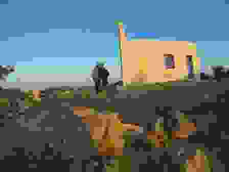 gaydos-4