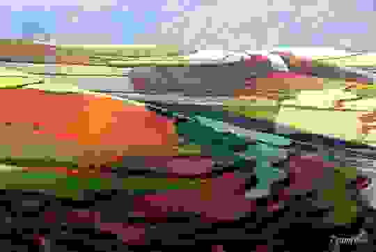 apisteuto_topio_12.jpg
