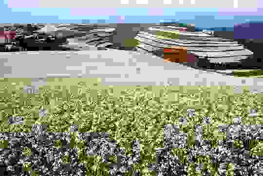 apisteuto_topio_13.jpg