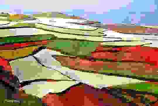 apisteuto_topio_14.jpg