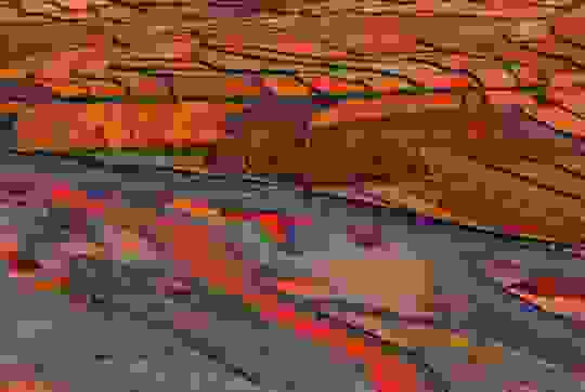 apisteuto_topio_2.jpg