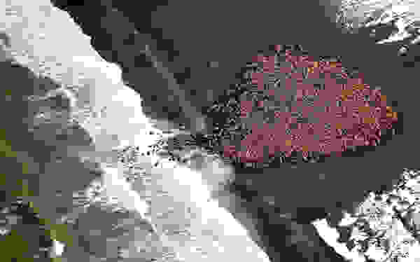 ashore2.jpg