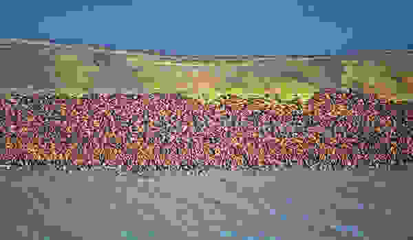 ashore4.jpg