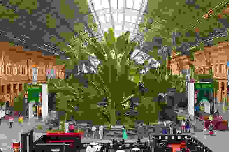 atocha-station-4.jpg
