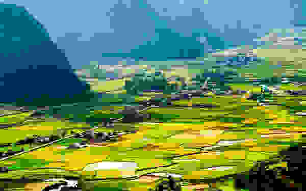 bacson9.jpg