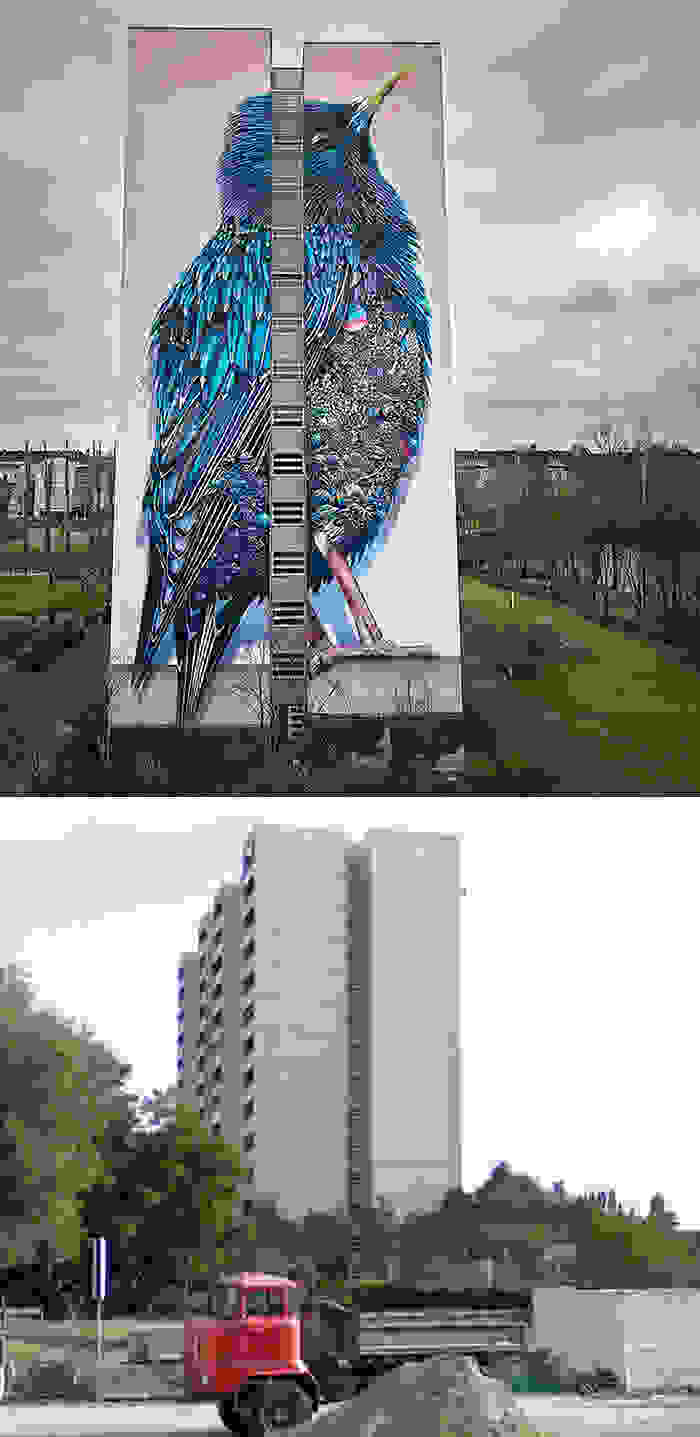 before-after-street-art-boring-wall-transformation-2-580df352b1353__700.jpg