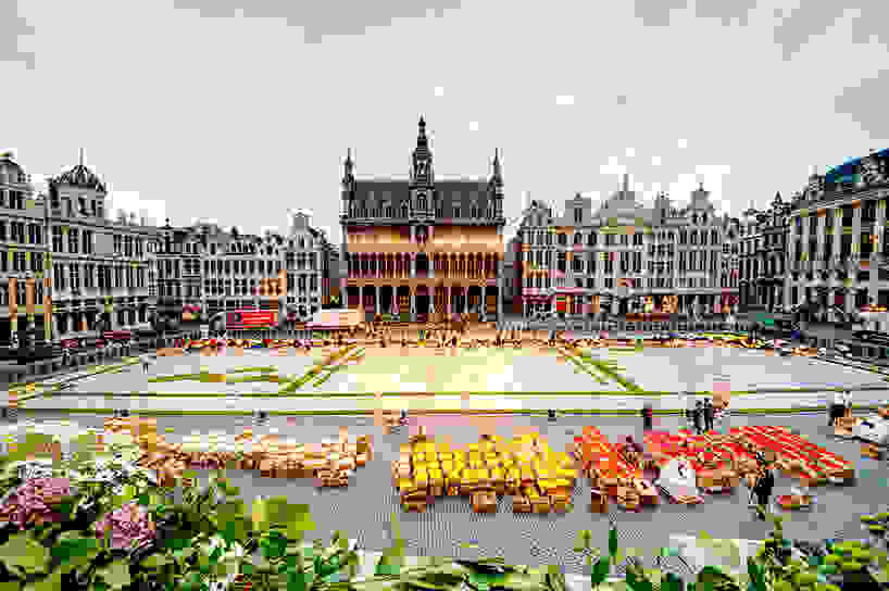 belgium-flower-carpet-2016-designboom-015.jpg