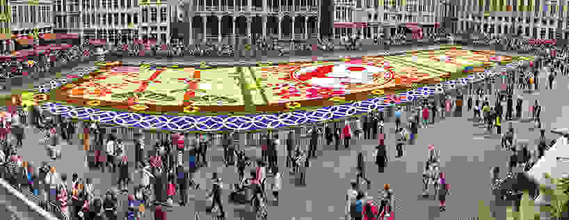 belgium-flower-carpet-2016-designboom-04.jpg