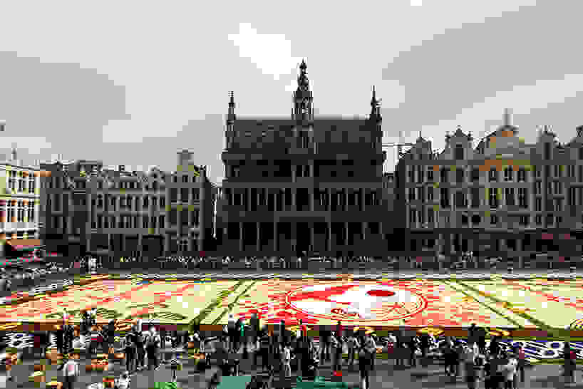 belgium-flower-carpet-2016-designboom-07.jpg