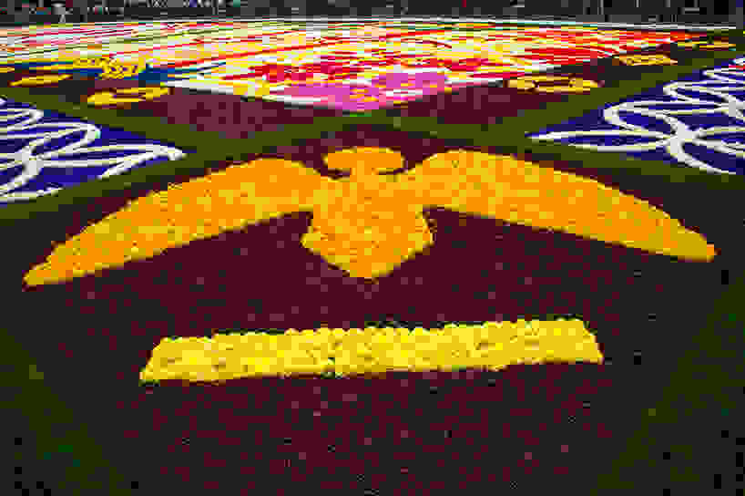 belgium-flower-carpet-2016-designboom-09.jpg