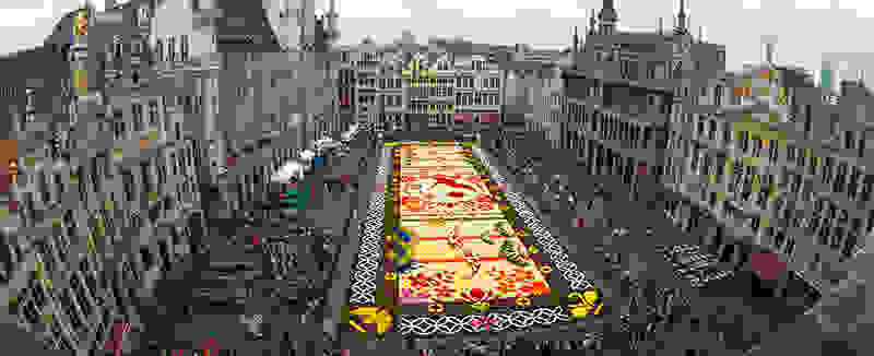 belgium-flower-carpet-2016.jpg