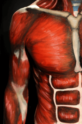big-anatomy_lesson_11.png