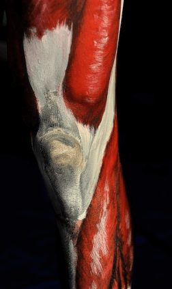 big-anatomy_lesson_12.png