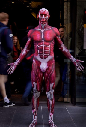big-anatomy_lesson_14.png