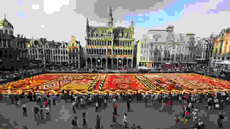brussels-carpet3.jpg