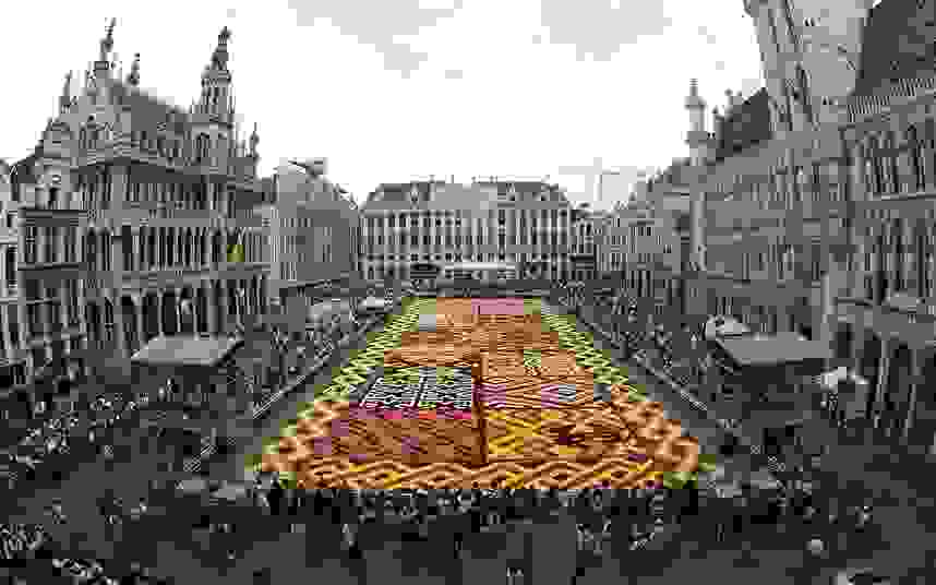 brussels-carpet4.jpg