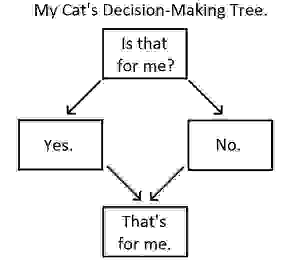 cat-logic-funny-25__605.jpg