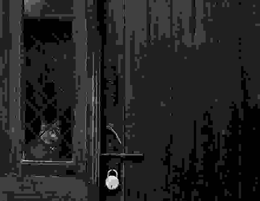 cat-waiting-window-15.jpg
