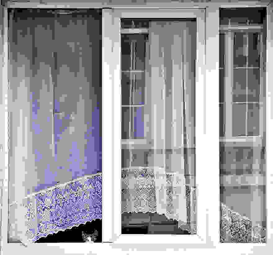 cat-waiting-window-40.jpg