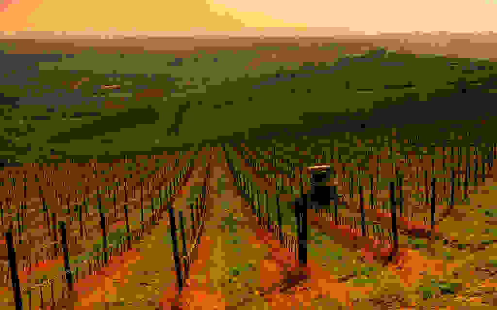 chianti-002.jpg
