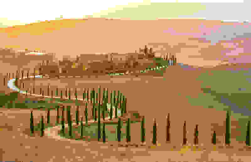 chianti340.jpg