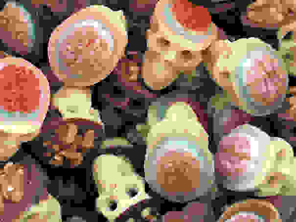 chocolate-art-sculptures-331.jpg