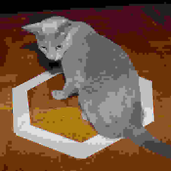 circle1__700.jpg