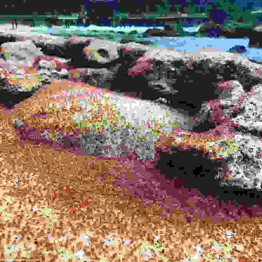 crabsk.jpg