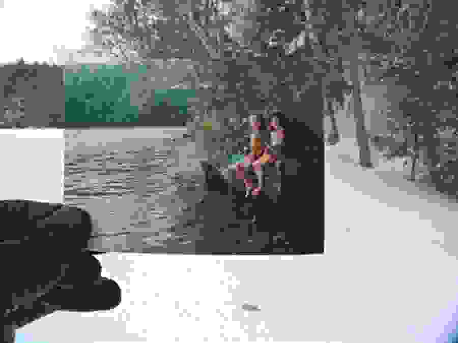 dear-photograph3.jpg