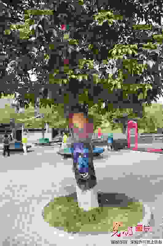 dentra65.jpg