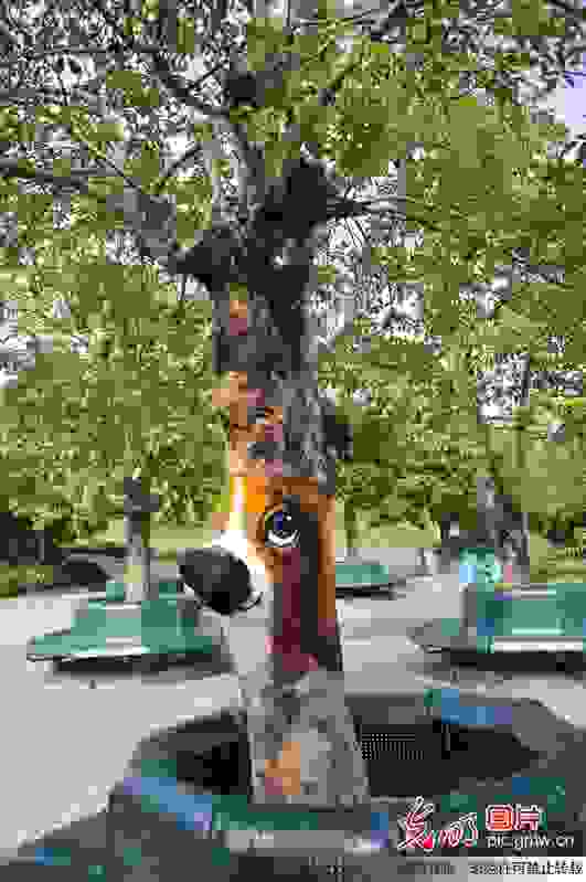 dentra75.jpg