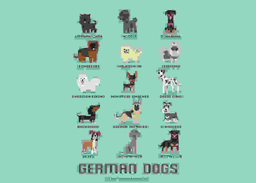 dogs-of-the-world-lili-chin-14.jpg