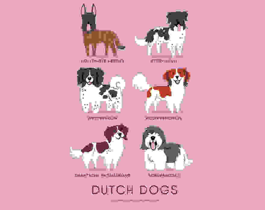 dogs-of-the-world-lili-chin-15.jpg