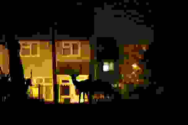 elafia-night-33.jpg