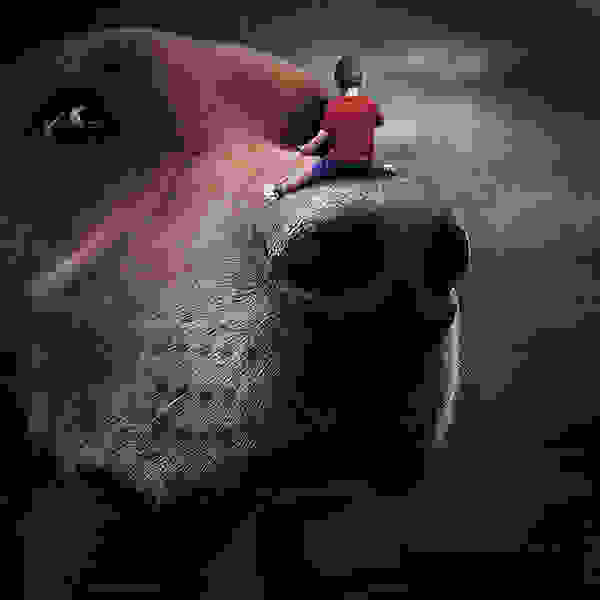 enchanced-9.jpg