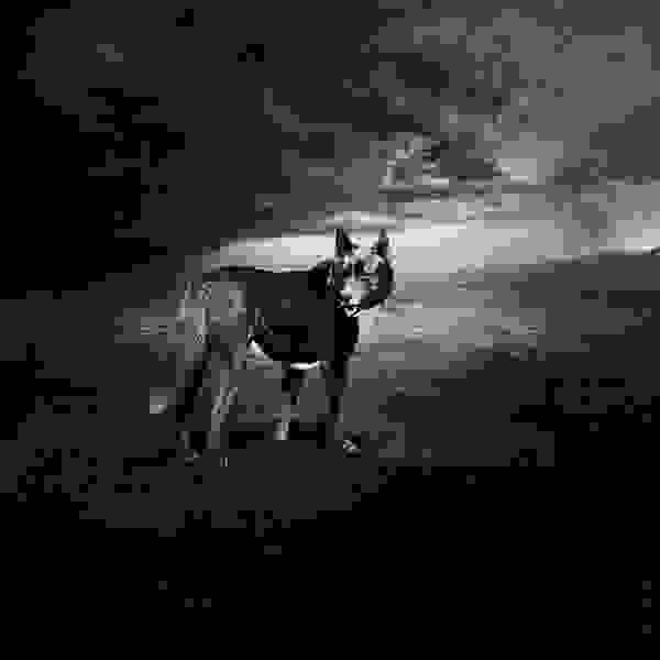 enhanced-1