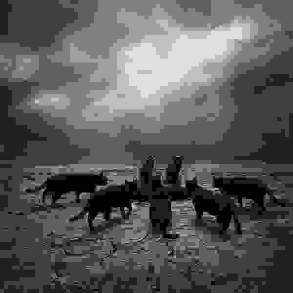 enhanced-4.jpg
