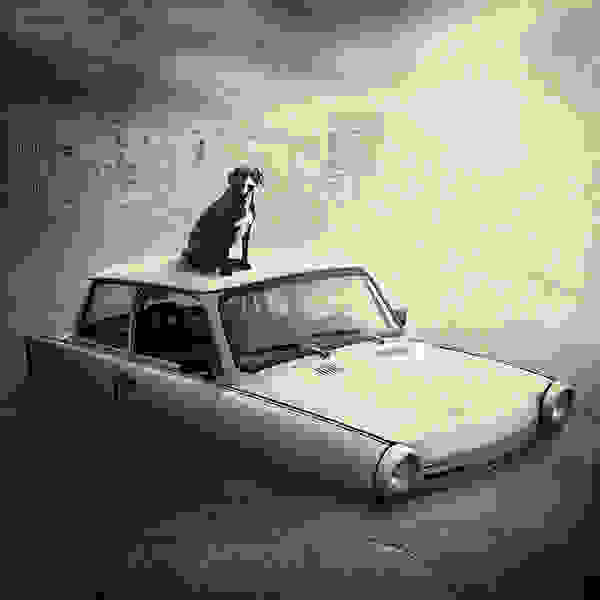 enhanced-6.jpg