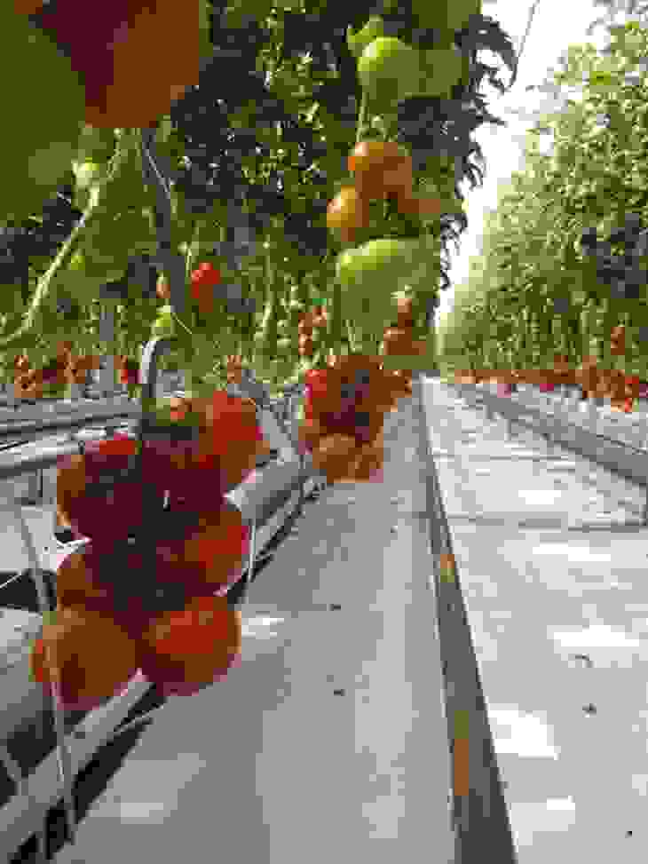 farm2.jpg