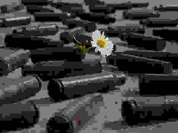 flower-tree-growing-concrete-pavement-105.jpg