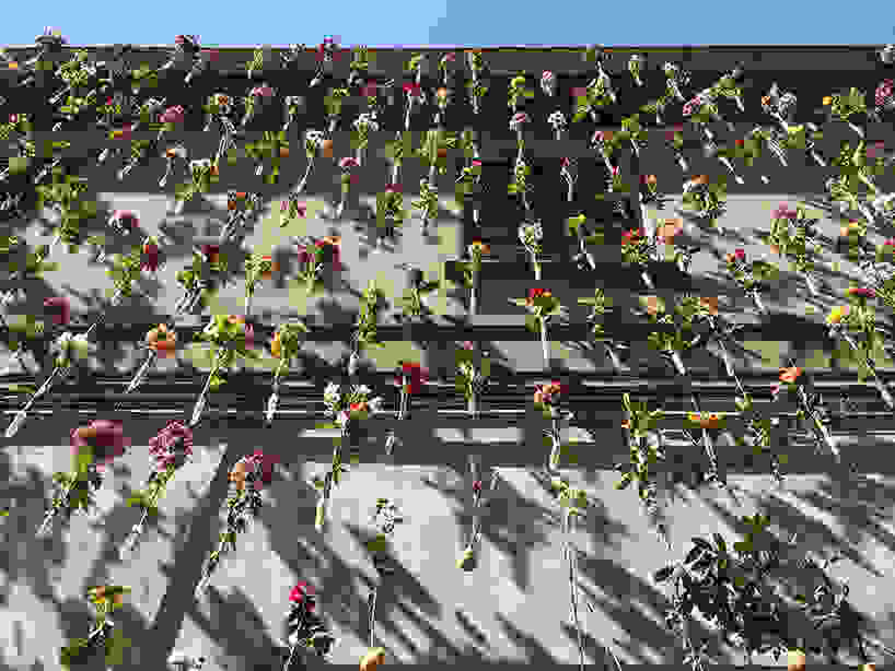 flowerprint-milan-01.jpg