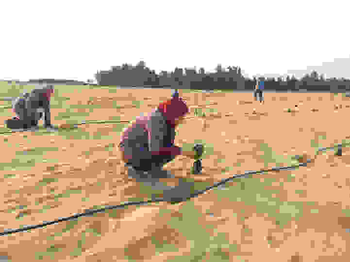 forestdesert1.jpg