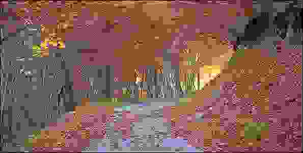 fthi10.jpg